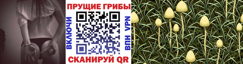 Галлюциногенные грибы ЛСД  купить закладку  Ялта 